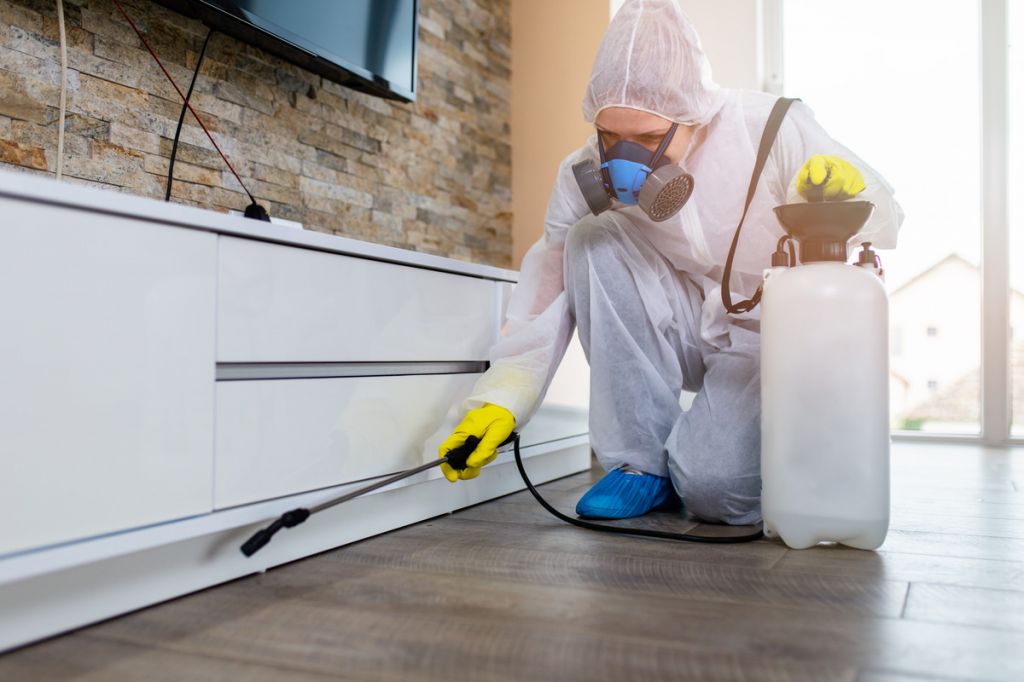 Pest Control