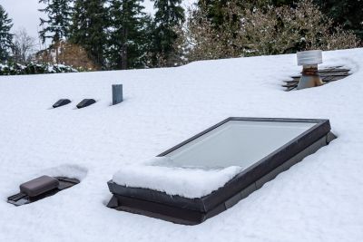 Snow Issues Skylight Inspection